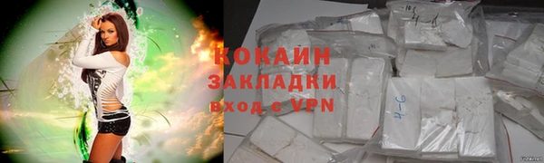 кокс Ельня