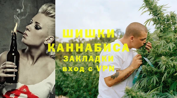 кокс Ельня